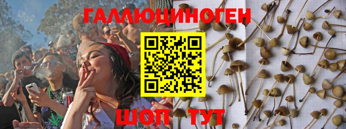 Псилоцибиновые грибы Magic Shrooms  Галлюциногенные грибы MAGIC MUSHROOMS  Вход с VPN  Можайск 